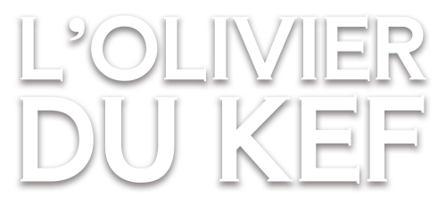Logo L'Olivier du Kef